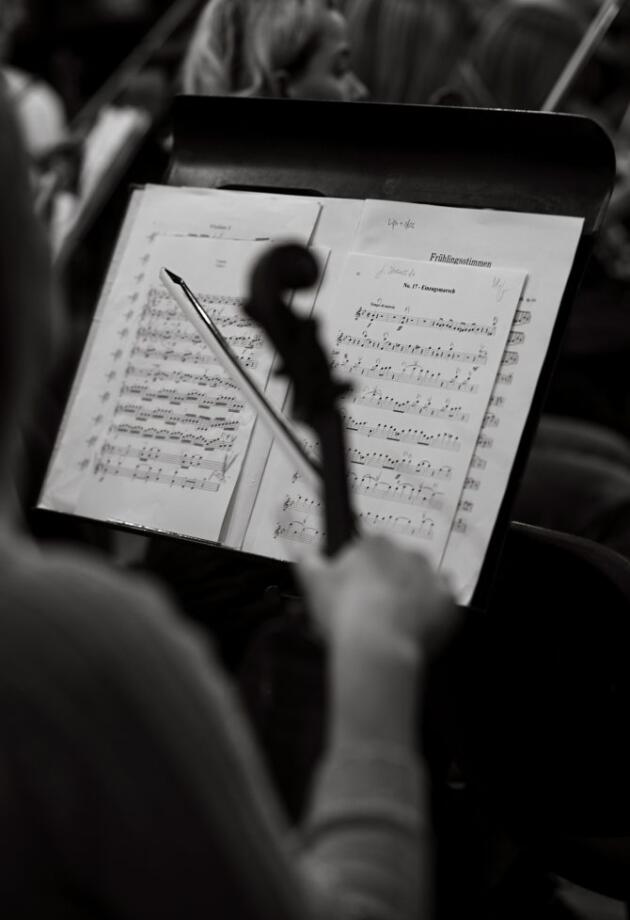 Novogodišnji koncert koji Sarajevo pamti: Razgovarali smo s maestrom i vidjeli kako nastaje