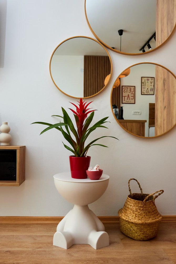 Primjer funkcionalnog interijera iz Zenice: Kako urediti garsonjeru da sve stane, a da izgleda dobro?