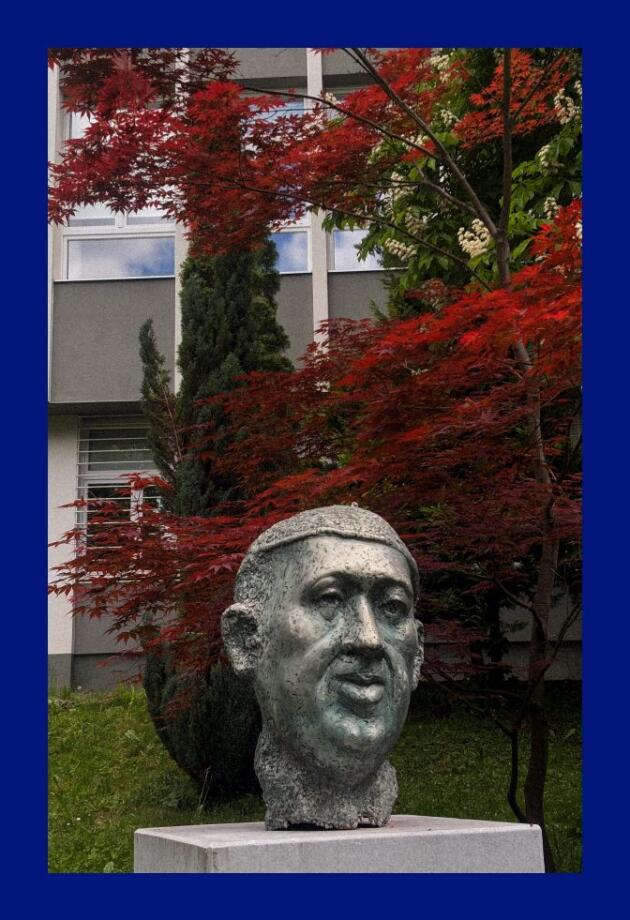O Juraju Neidhardtu znate kroz njegove zgrade u Sarajevu, ali ovih 6 stvari sigurno ne