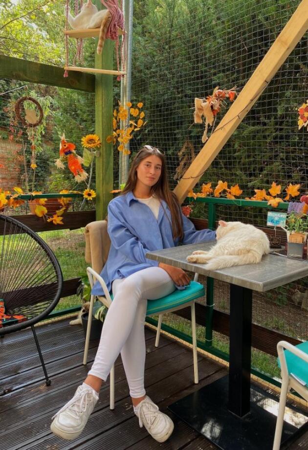 Ovaj kafić postao je omiljeno mjesto svih ljubitelja mačaka i to s razlogom!