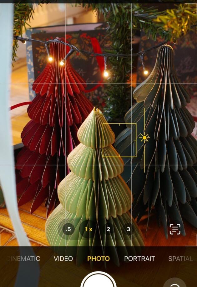 Sinsay papirna jelka za 6 KM