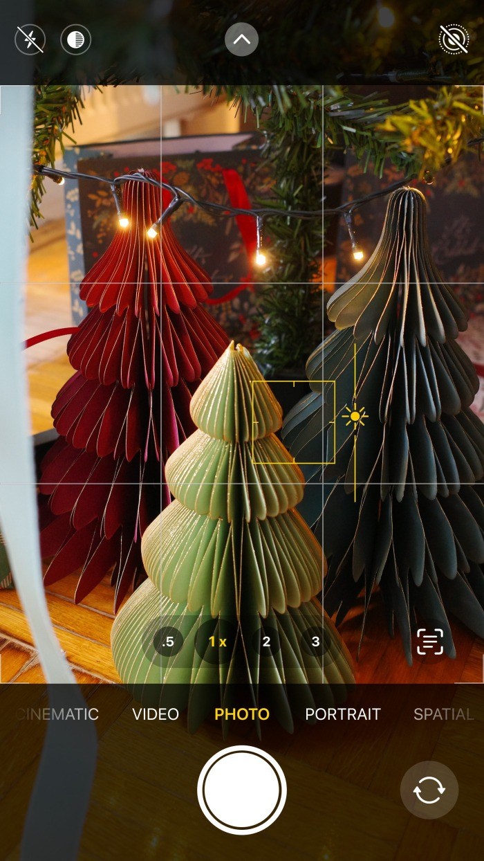 Sinsay papirna jelka za 6 KM