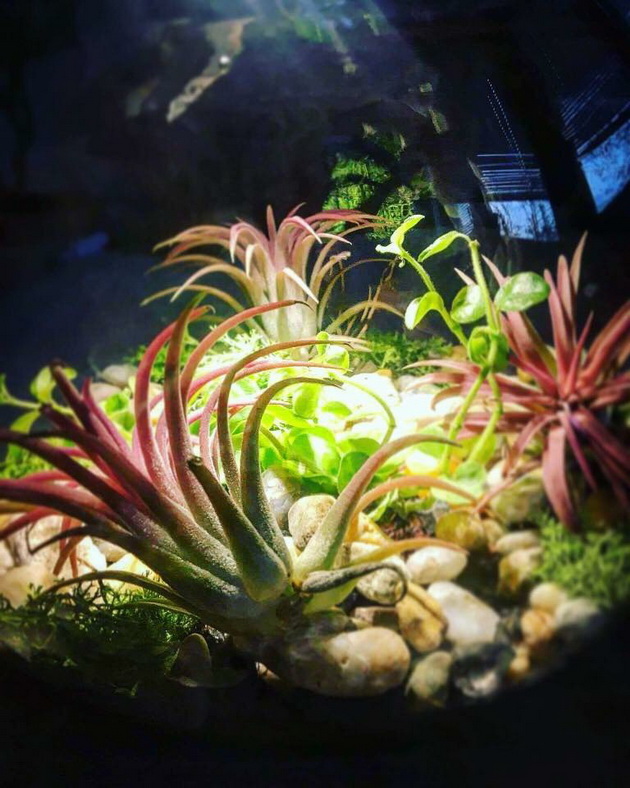 LandscapestudioAvliYa  04