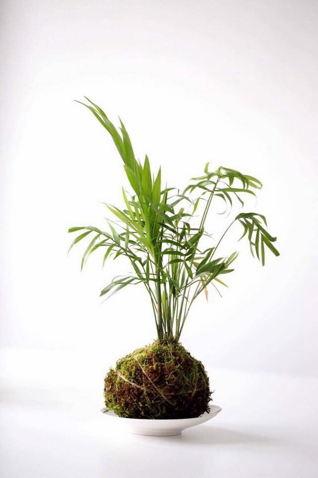 LandscapestudioAvliYa  10